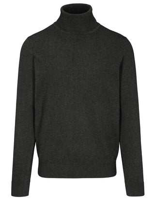 Rollkragen Pullover, 1/1 Arm