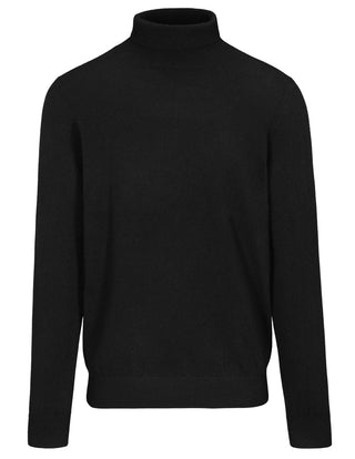 Rollkragen Pullover Basic,uni